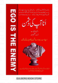 Ana Apki Dushman Hay